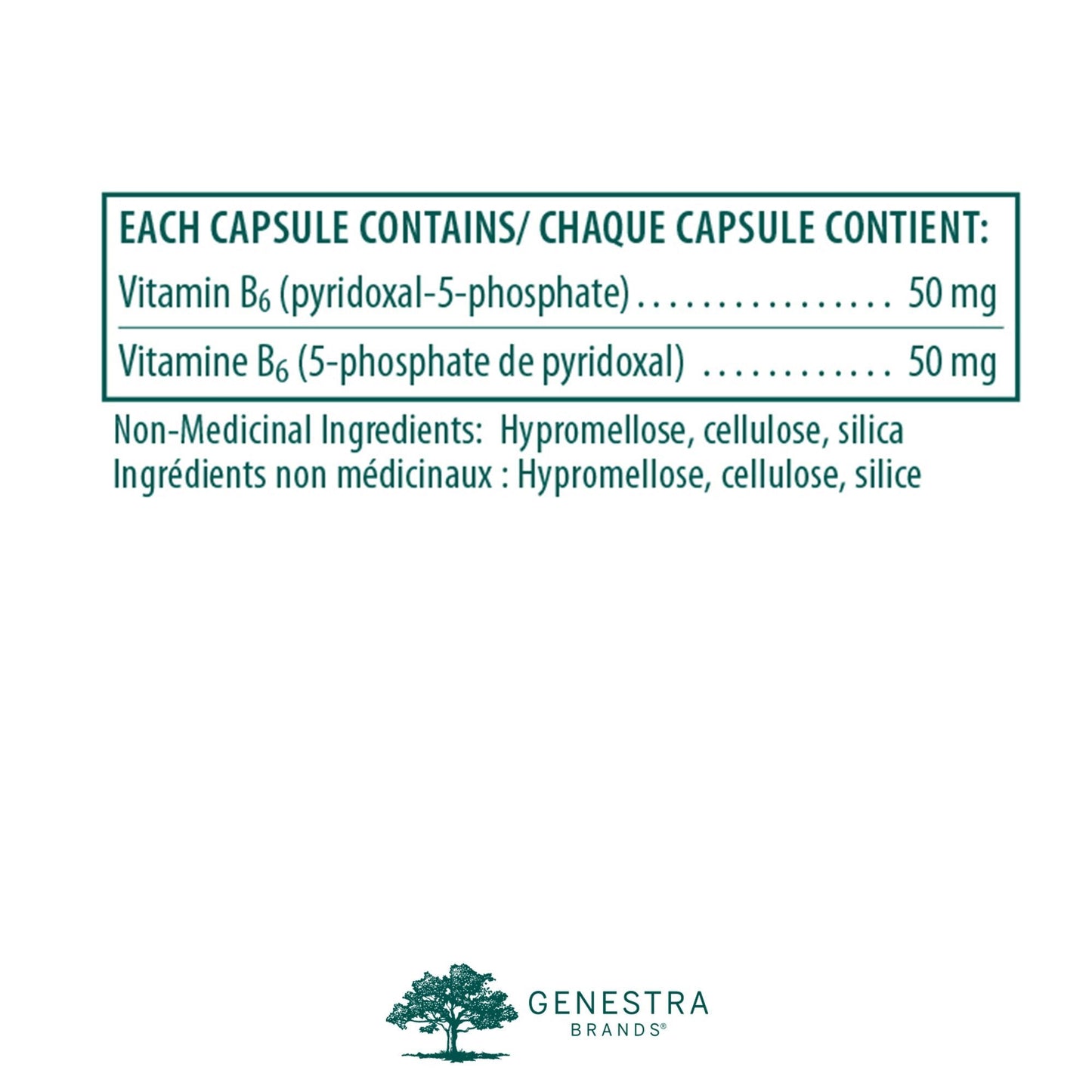Active B6 Pyridoxal : Vitamine B6 Essentielle sous Forme de P5P