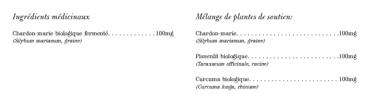 Chardon Marie Vivant - Revitalisation du Foie