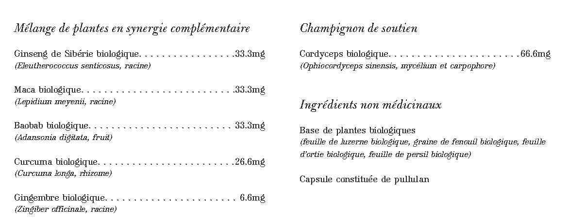 Guerrier - Force et la Vitalité