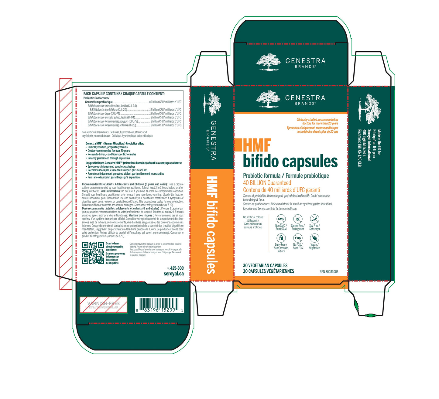 HMF Bifido Capsules – Soutien Probiotique pour la Santé Intestinale