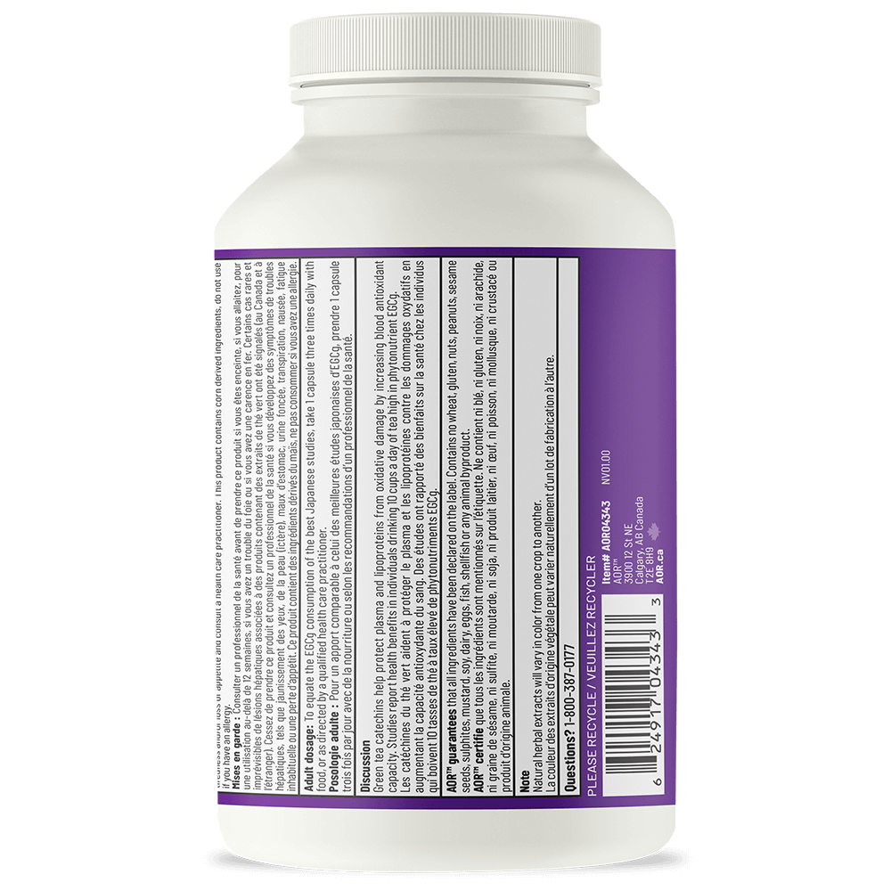 Thé Vert Actif - Un extrait de thé vert puissant et riche en EGCg