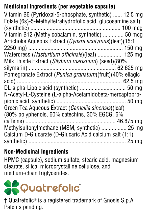 MedCaps DPO - Soutien Hépatique et Antioxydants