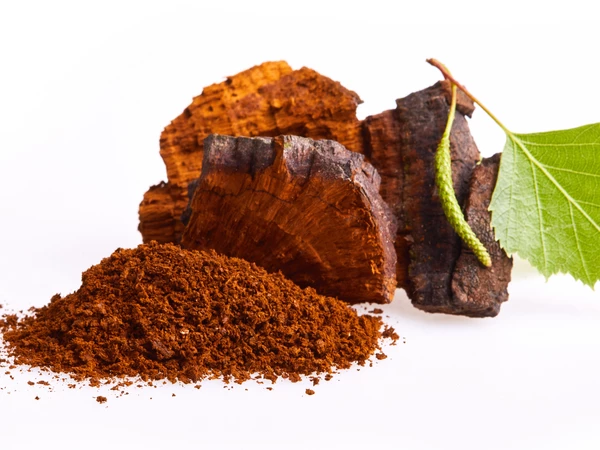 Connaissez-vous le Chaga?