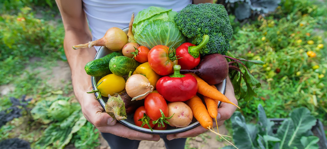 L'alimentation végétalienne et biologique la meilleure combinaison pour la 
santé hormonale ?