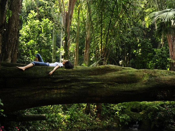 Un geste simple pour faire monter le bonheur? Un bain de forêt