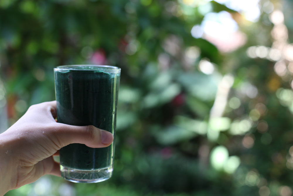 Smoothie à la spiruline, votre complice végane pour après le sport et beaucoup plus💚