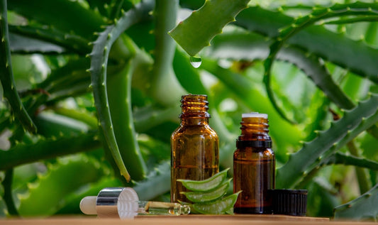 La santé de la peau et les bons produits pour en prendre soin🌿🌿