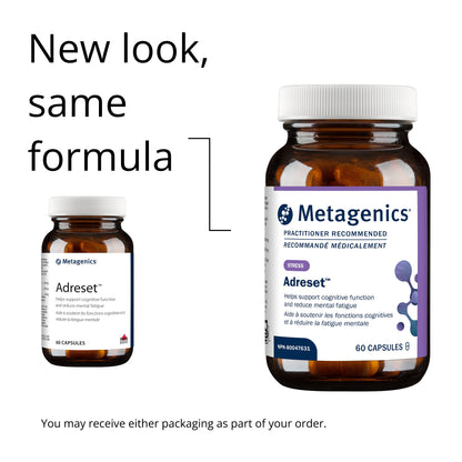 Adreset - Renforcement Cognitif et Performance Physique