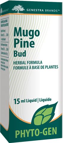 Mugo Pine Bud