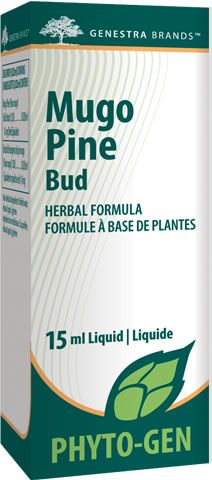 Mugo Pine Bud – Santé Naturelle
