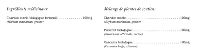 Chardon Marie Vivant - Revitalisation du Foie