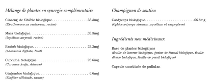 Guerrier - Force et la Vitalité