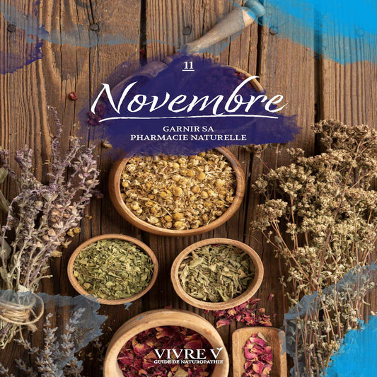 Novembre - Garnir Sa Pharmacie Naturelle
