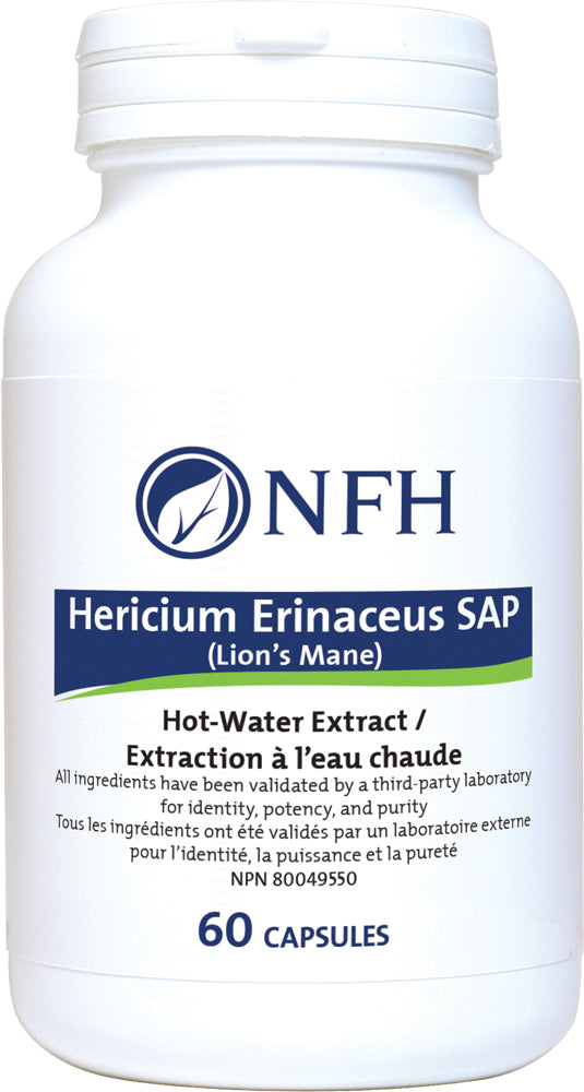 Hericium Erinaceus SAP - Le Champignon aux Vertus Neuronales
