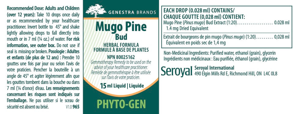 Mugo Pine Bud – Santé Naturelle