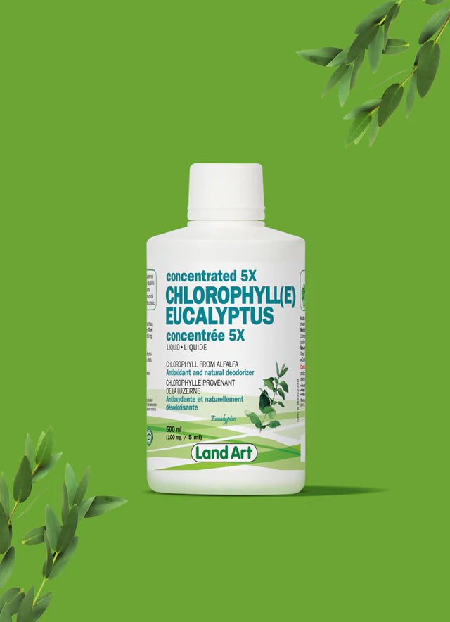 Chlorophylle 5X Liquide