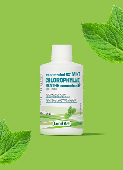Chlorophylle 5X Liquide - Bienfaits Naturels