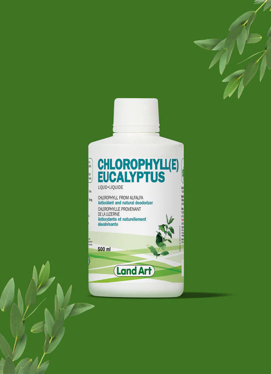 Chlorophylle Liquide - Pureté et Vitalité