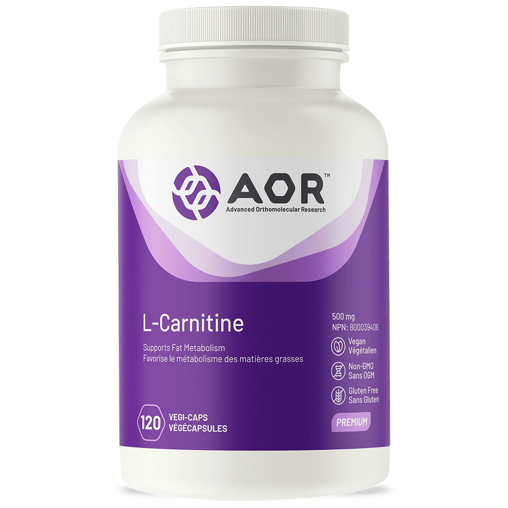 L-Carnitine - Soutien Métabolique et Énergétique