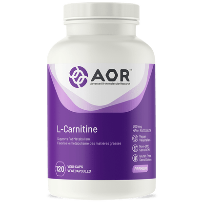 L-Carnitine - Soutien Métabolique et Énergétique