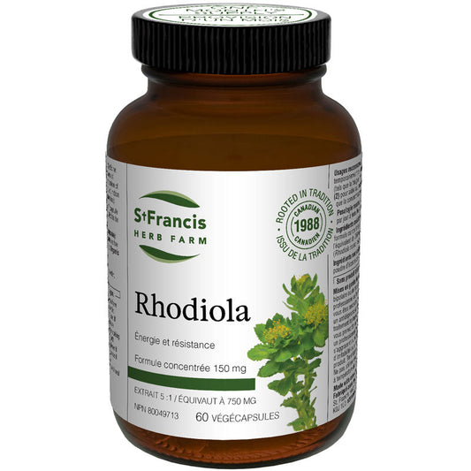 Rhodiola Capsules - Soutien Cognitif et Anti-Fatigue