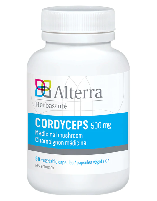 Cordyceps : Tonique Chinois pour la Vitalité