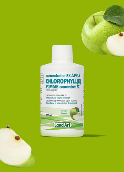 Chlorophylle 5X Liquide - Bienfaits Naturels